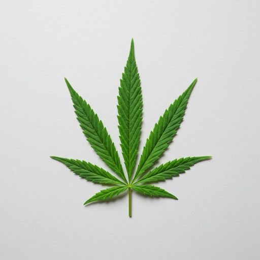 Cannabidiol_CBD_a8460ecf-2fa1-41a2-98da-584c22b23276.jpg