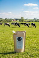 Refill: SKiNN Milk Body Lotion