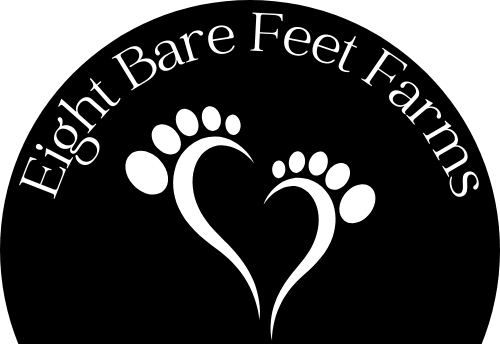 Eight Bare Feet Natural Skincare