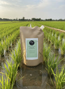 Refill: Rice & Flax Revival Shampoo