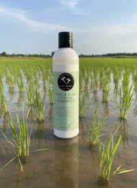 Rice & Flax Revival Shampoo